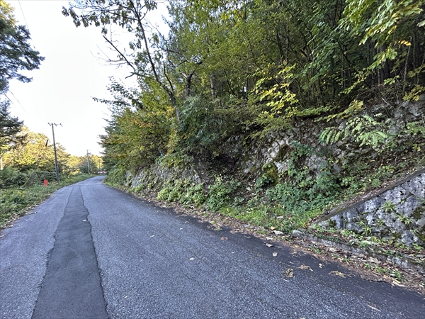 ���n�R�S�O��